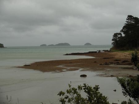 Vive les maoris