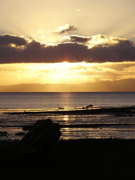 Coromandel